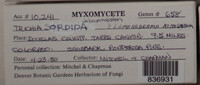 Image Associated With the Occurence